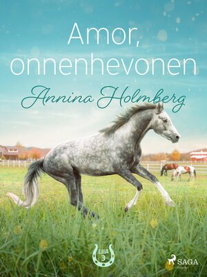 cover image of Amor, onnenhevonen